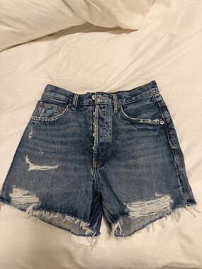 Agolde Dee Vintage High Rise Short NWT Turmoil